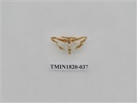 藏品(蔬菜害蟲)的圖片